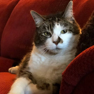 Meet your Posher, Marie